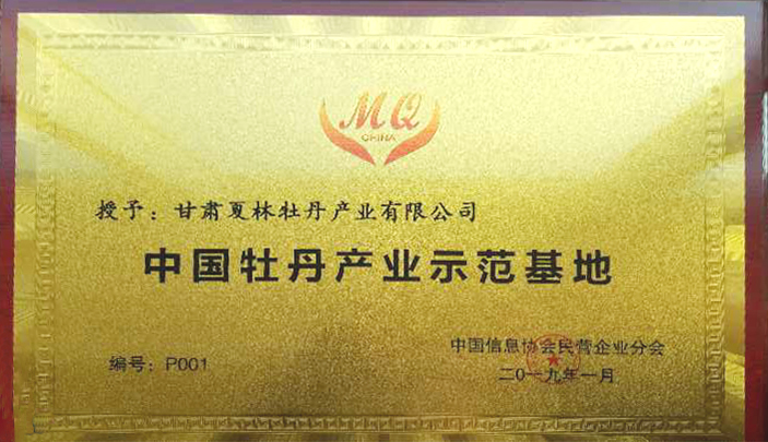 示范.jpg