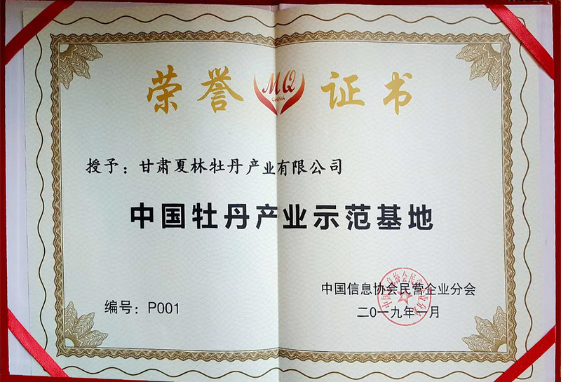 牡丹示范基地.jpg